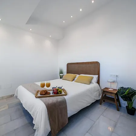 Apartment Exclusive Alameda - Penthouse Malaga